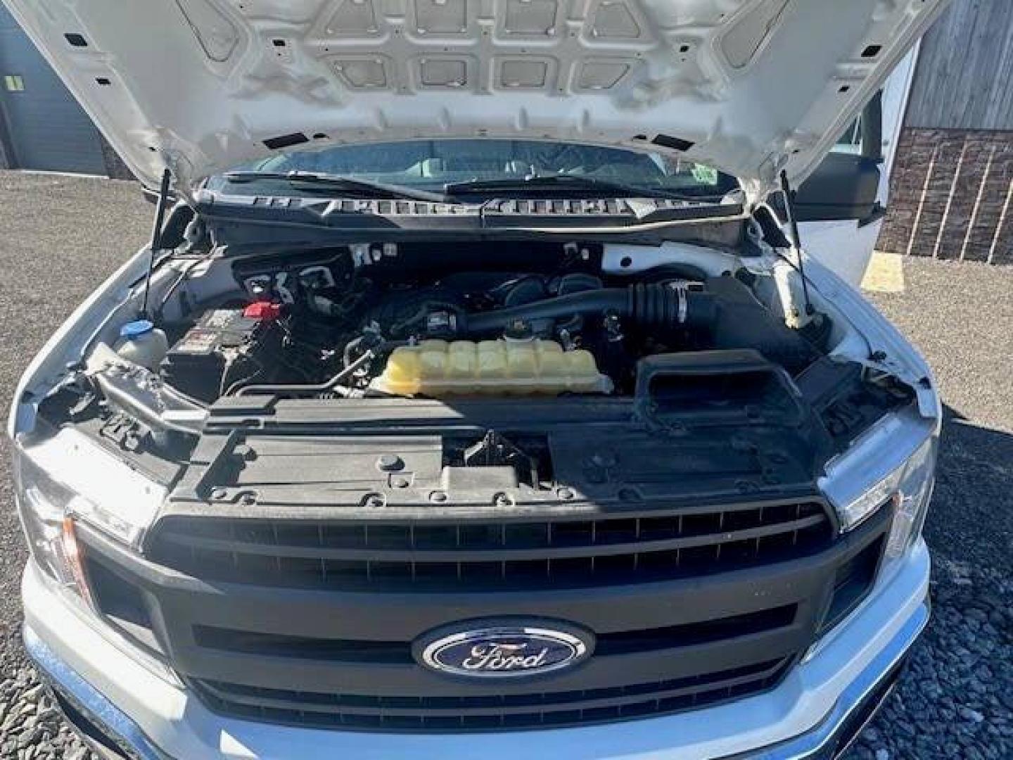 2019 White Ford F-150 (1FTMF1CB9KK) with an 3.3L V6 3.3L V6 engine, located at 4845 Woodbury Pike, Roaring Springs, PA, (814) 317-5008, (814) 317-5008, 40.250935, -78.366959 - 2019 FORD F150XL 2WD, Stereo, Cruise Control, Perimeter Alarm System, Air Conditioning, Backup Camera, Traction Control, Keyless Entry, Tilt and Telescoping Wheel, Head Curtain Air Bags, Power Door Locks, Towing Pkg, Dual Air Bags, ABS (4-Wheel),Alloy Wheels, Power Windows, Power Steering,V6 Flex - Photo#5
